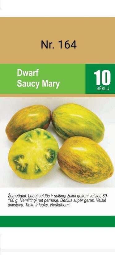 Dwarf Saucy Mary
