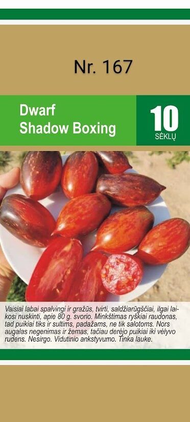Dwarf Shadow Boxing