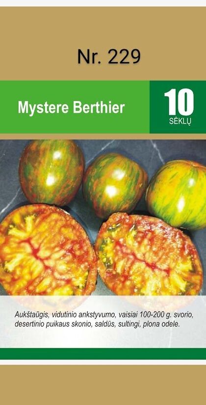Mystere Berthier