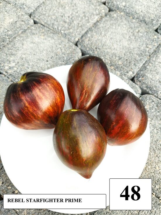 Rebel Starfighter Prime