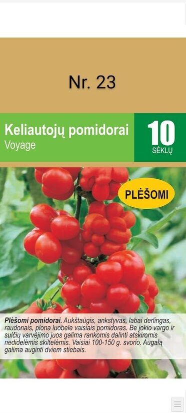 Voyage (Plėšomi)