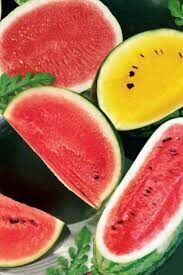 Arbūzai "Superankstyvių veislių mišinys"