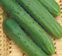 Agurkas F1 Karališkieji piršteliai