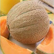 Melionas „Kantalupa apelsinas“ F1 