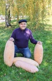 Moliūgas „ Papaja“