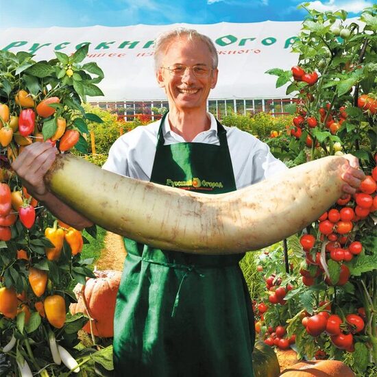 gigantas "Daikon F1"