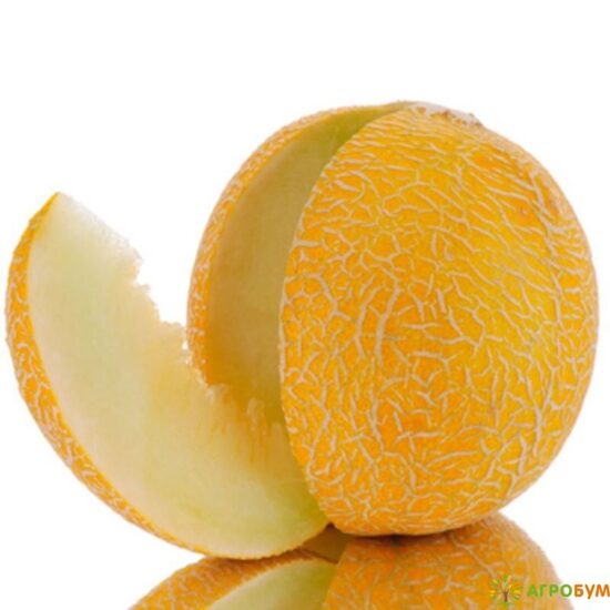 Melionas „Saldus stebuklas“