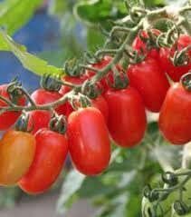 Čeri Raudonas kaskadas