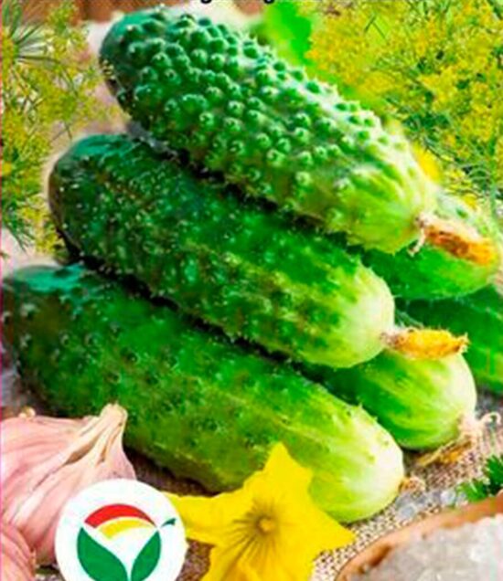 lauko "Rauginimui 2"