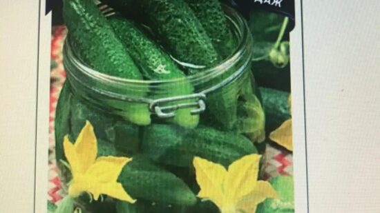 kekiniai kornišonai "Krokoziaba F1"