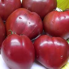 Dwarf Purple Heart/Nykštukas Violetinė Širdis