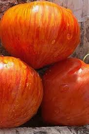 Jaučio  širdis dryžuota