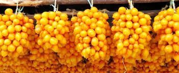 džiovinimui "Yellow Piennolo del Vesuvio"