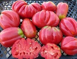 skani "Rožinė figa"