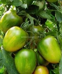 kokteilinis "Oniks F1"