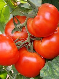 žemaūgis "Sprogimas"