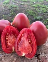 Dwarf Melanie's Ballet/nykštukas „Gnom Melanie's Ballet“