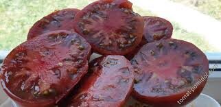  Dwarf Boronia/ „Gnomas Boronia“