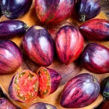 „Rebel Starfighter“/Žvaigždžių naikintuvas