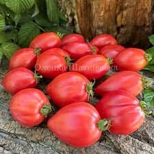 Dwarf Desperado/gnomas beviltiškas