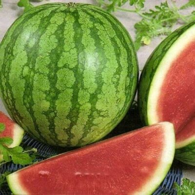 Arbūzas "Itin ankstyvas"