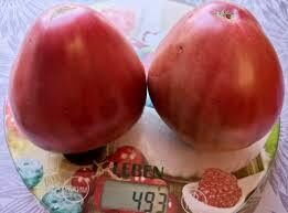 ekzotinė "Juodoji širdis"